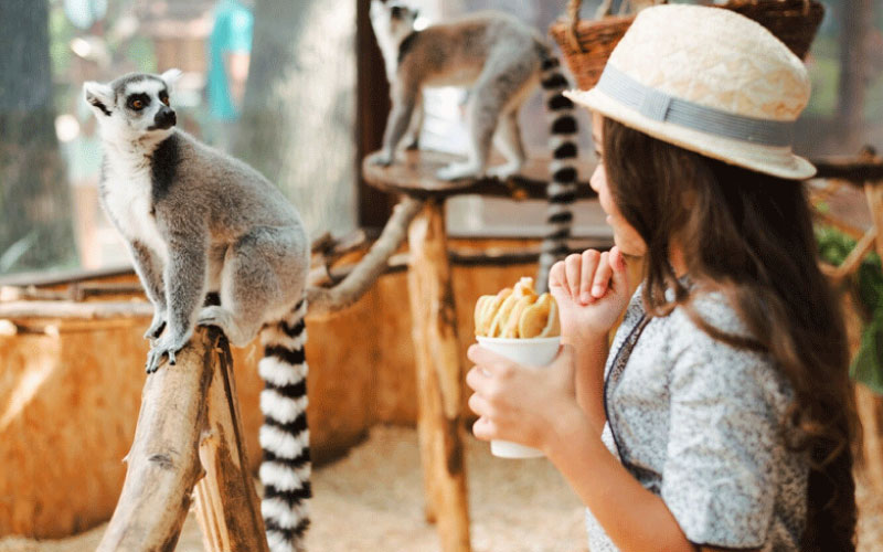 kids enjoying Twycross Zoo, Birmingham school trip, November 2024, UK